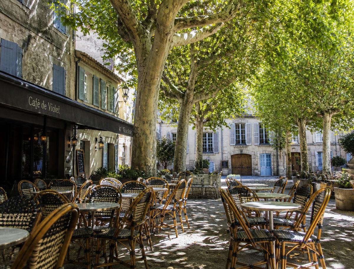 Terrasse de café ombragée sous des platanes